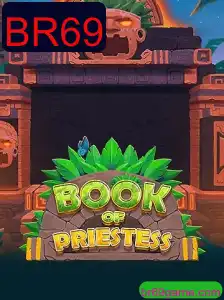 Explorando o Universo de BookOfPriestess: Uma Jornada no Mundo dos Jogos de Tabuleiro